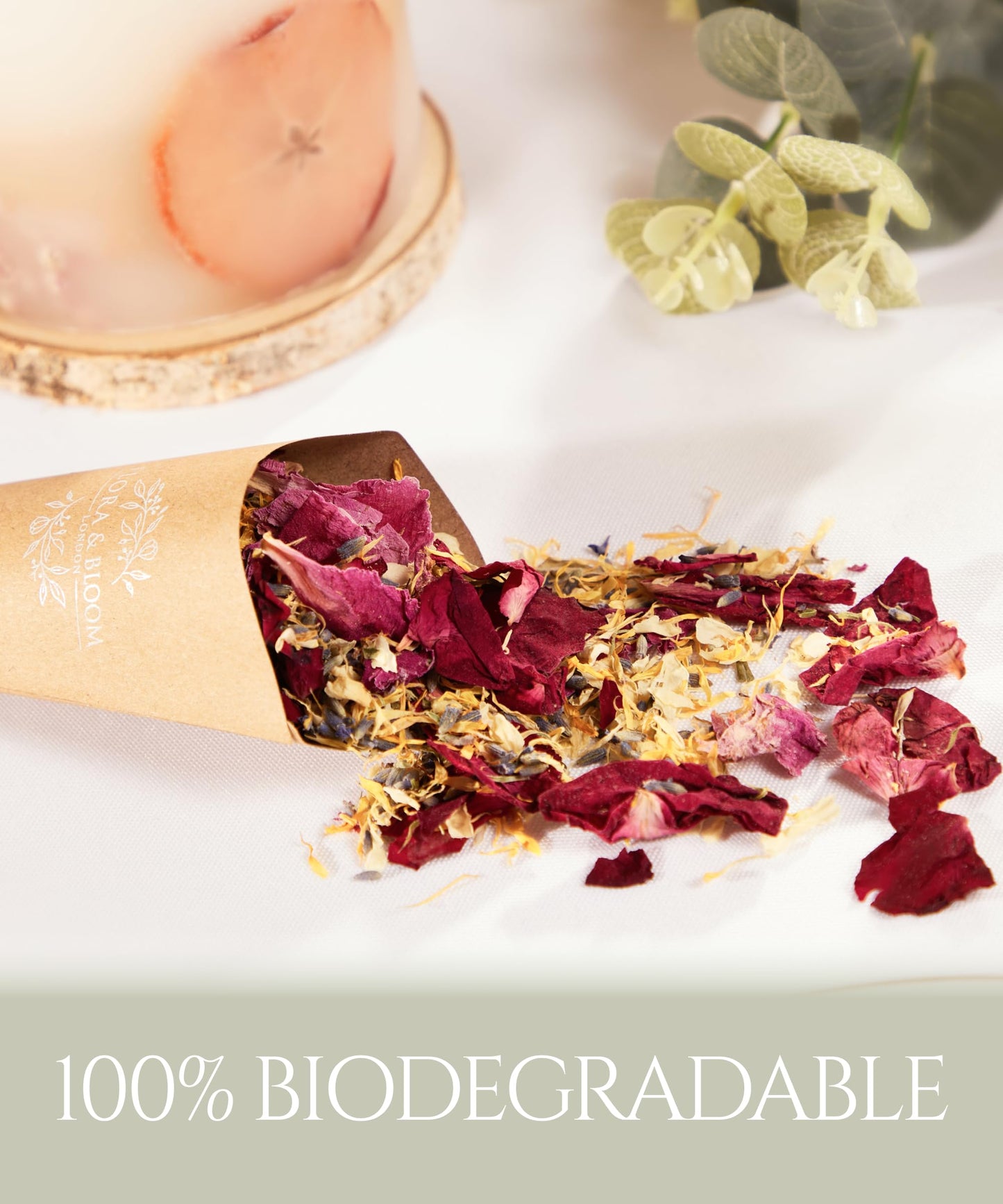 Luxury Dried Petal Confetti Cones – Perfect for Your Dream Wedding