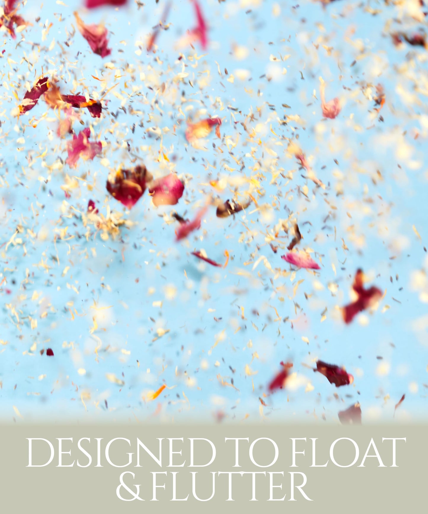 Luxury Dried Petal Confetti Cones – Perfect for Your Dream Wedding